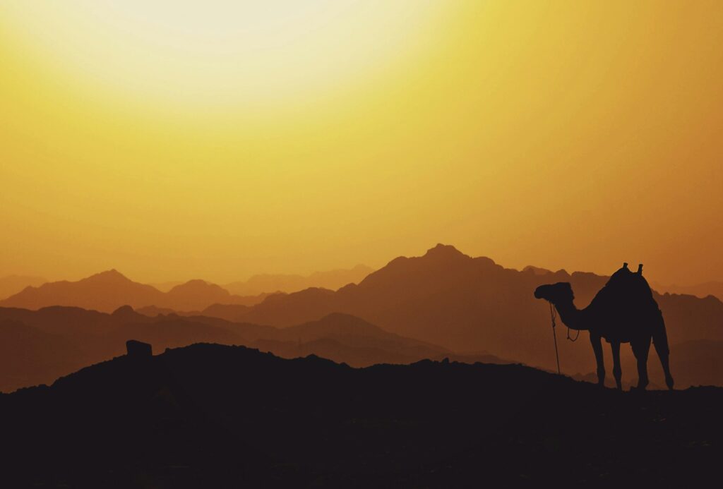 Underrated Middle Eastern Destinations for Sunshine & Culture