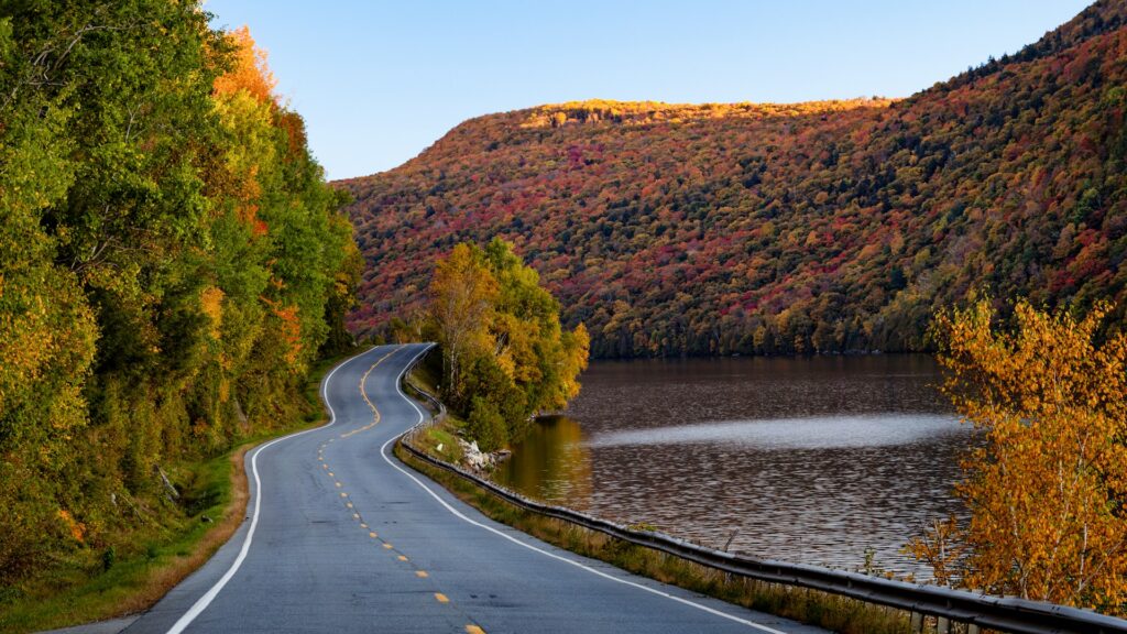 Winding road beside a lake surrounded by colourful autumn forest in Europe