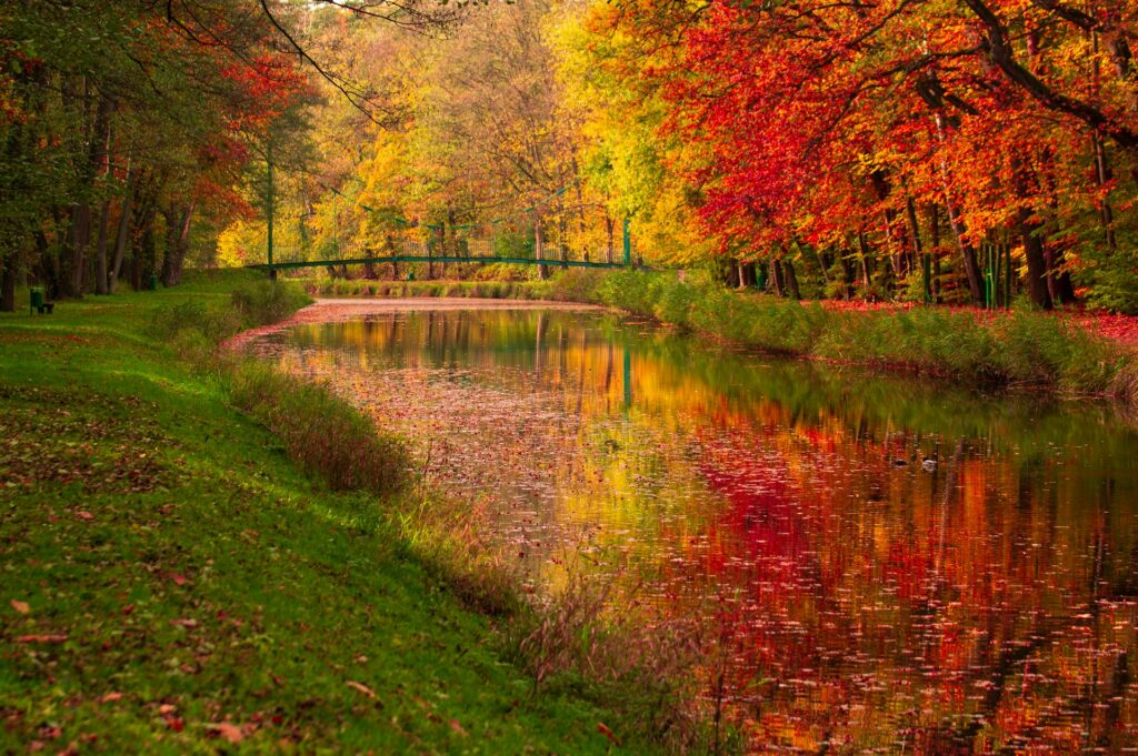 Colourful autumn trees reflected in a peaceful canal in Europe