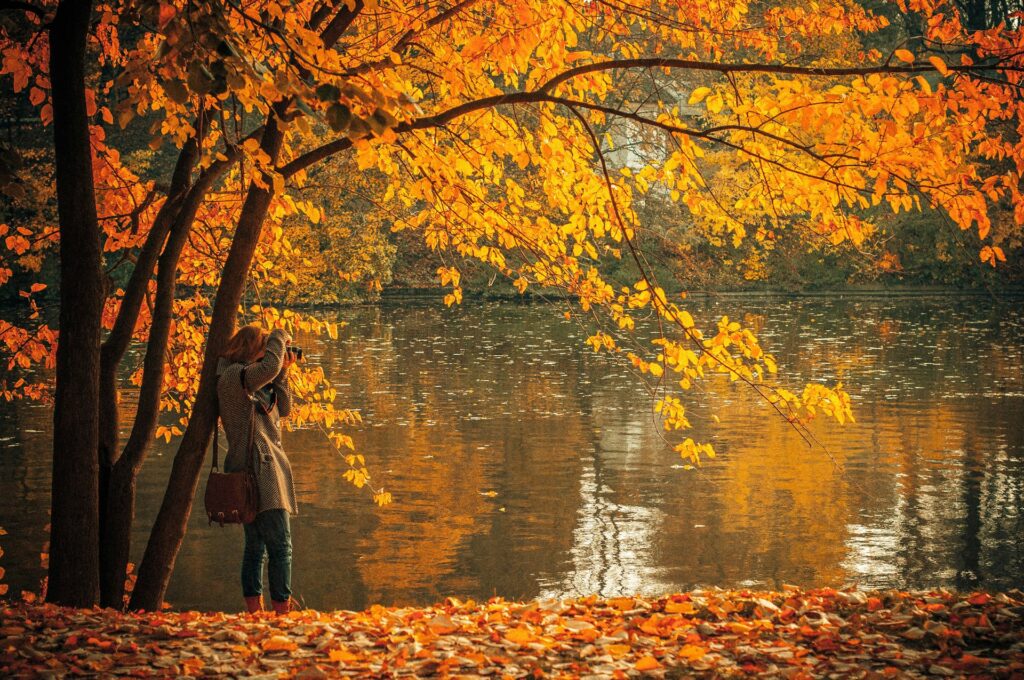 Solo traveller photographing an autumn lake surrounded by golden trees in Europe